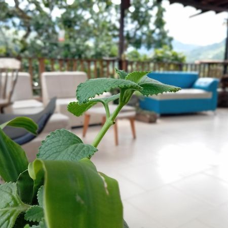 Hostal Los Wichos Minca Zewnętrze zdjęcie